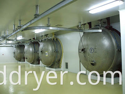 Industrial Vacuum Freeze Dryer for Jujube